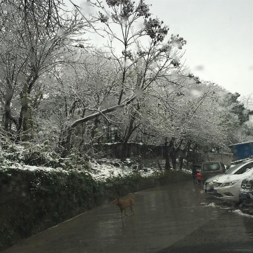 滤油机滤芯_重庆下雪啦