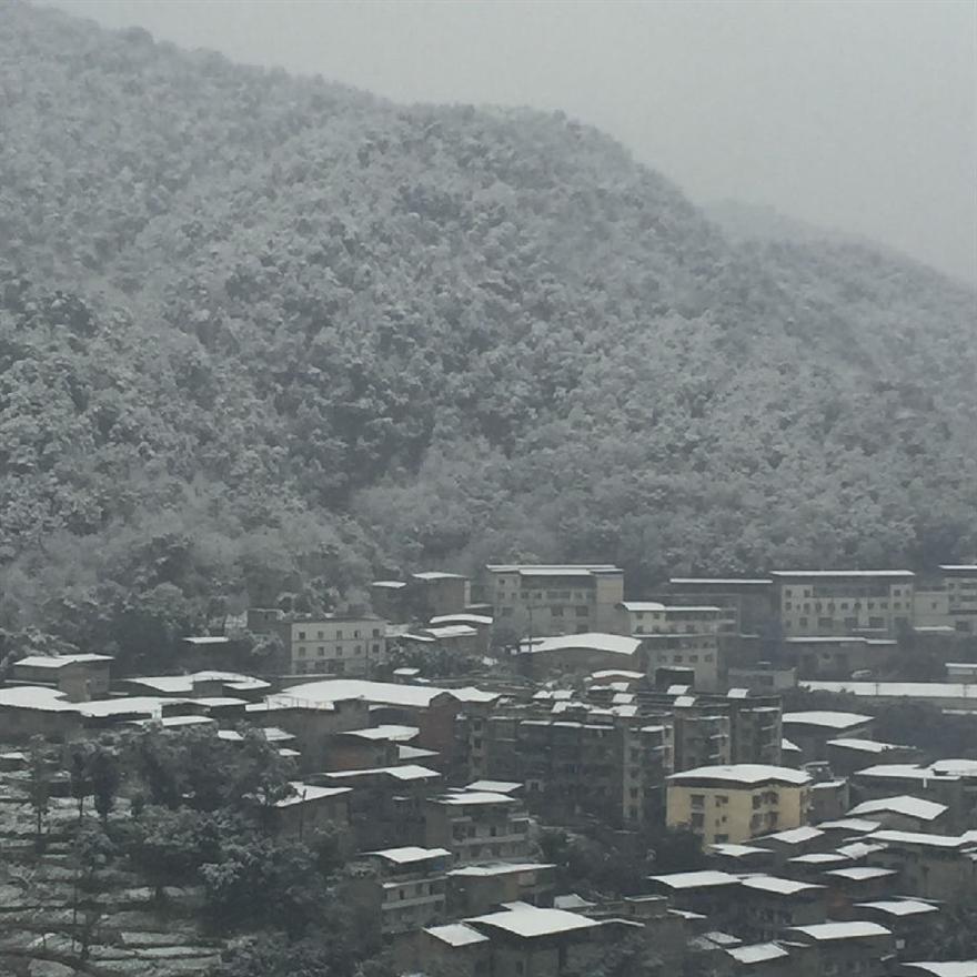 滤油机滤芯_重庆下雪啦