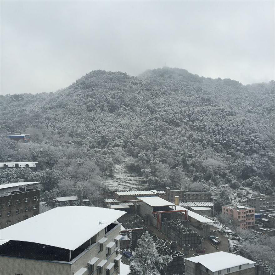 滤油机滤芯_重庆下雪啦