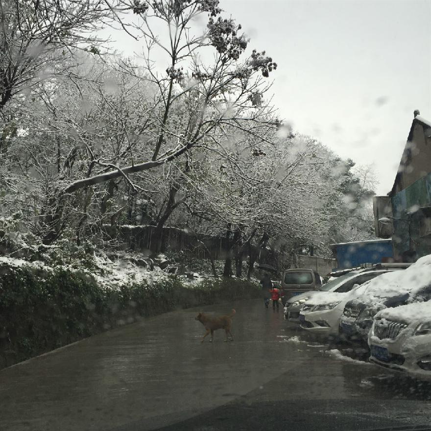 滤油机滤芯_重庆下雪啦