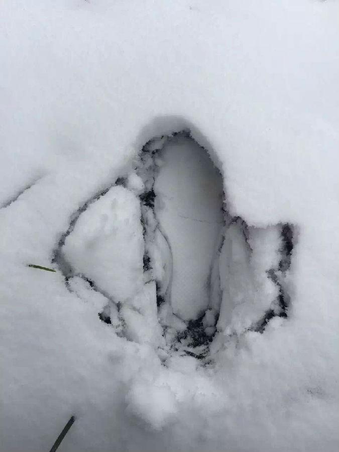 滤油机滤芯_重庆下雪啦